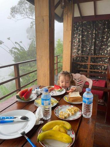 a little girl sitting at a table with plates of food at Barn Hills in Ella