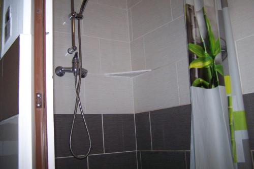 a bathroom with a shower with a shower curtain at petit gite in Rilly-sur-Loire