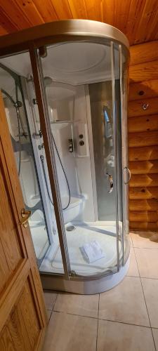 a small shower in a room with a door at Hôtel Résidence Le Pin Sylvestre Amnéville in Amnéville