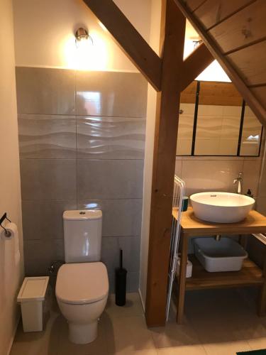 a bathroom with a toilet and a sink at ubytování u Smolíků in Třeboň