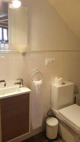 a bathroom with a toilet and a sink and a mirror at Casa La Cabiana in Rotella