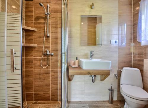 a bathroom with a toilet and a sink and a shower at Domek w Bieszczadach u Ani Apartament 2 in Orelec