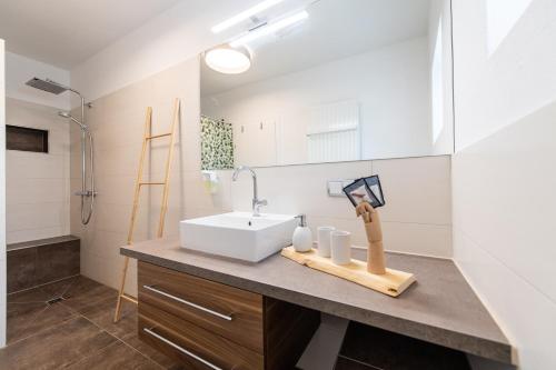 ein Badezimmer mit Waschbecken und Spiegel in der Unterkunft Apartment Alexandra in Gmunden