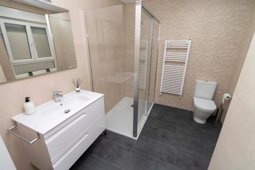 a bathroom with a sink and a shower and a toilet at Espectacular piso en casco histórico-plaza Don Gutierre in León