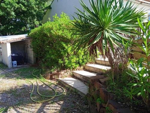 Κήπος έξω από το Appartement charmant au Luc avec piscine partagée, 42 m²