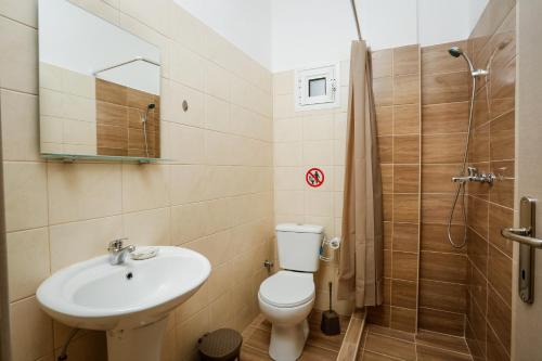 een badkamer met een toilet, een wastafel en een douche bij GK Houses #1 in Asprovalta