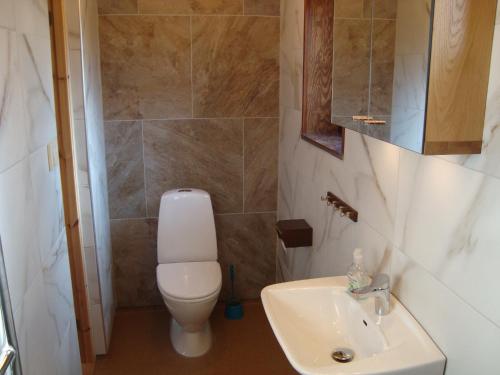 a bathroom with a toilet and a sink at 2 room apartment in Ystad