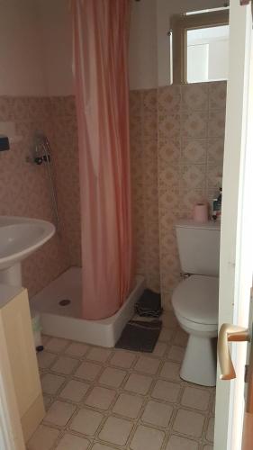 een badkamer met een toilet, een douche en een wastafel bij Studio 4 couchages vue pistes in Gréolières les Neiges
