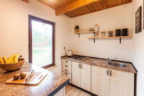a kitchen with a sink and a counter top at Gryfne Kaszuby in Kamienica Królewska
