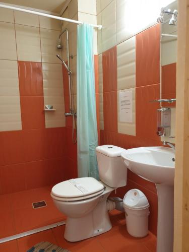 a bathroom with a toilet and a sink at Vila Bianca Dragusin in Moieciu de Sus