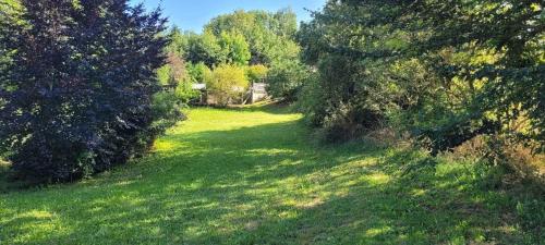 un champ herbeux avec des arbres à distance dans l'établissement Chalet bois aux portes du Perigord, à Paulhiac