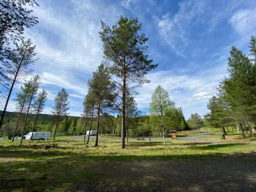 a park with trees and a van in the background at Gresslifoss Camping in Gressli