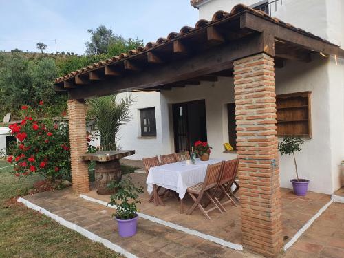 un patio de ladrillo con mesa y chimenea en Casa del rio, en Málaga