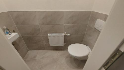 a small bathroom with a toilet and a sink at Villa Bad Bertrich in Bad Bertrich
