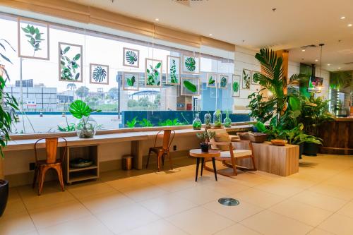Bazén v ubytování ibis Styles Curitiba Aeroporto nebo v jeho okolí