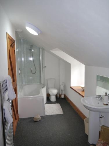 a bathroom with a shower and a toilet and a sink at Old Coach House in Moniaive