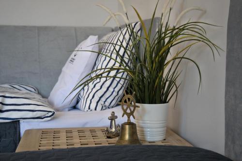 Fotografie z fotogalerie ubytování Apartamenty Marynarskie 100m od plaży v destinaci Rowy