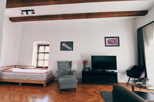 a living room with a bed and a tv at Kutná Hora Apartment in Kutná Hora