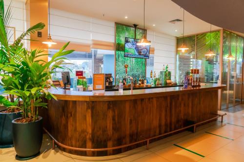 a bar in a restaurant with plants at ibis Styles Curitiba Aeroporto in São José dos Pinhais
