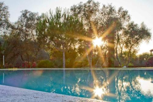 a swimming pool with trees in the background at Agriturismo Il Riccio in Forni di Gavorrano