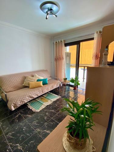 a living room with a couch and a plant at CasaTranquila in Los Llanos de Aridane