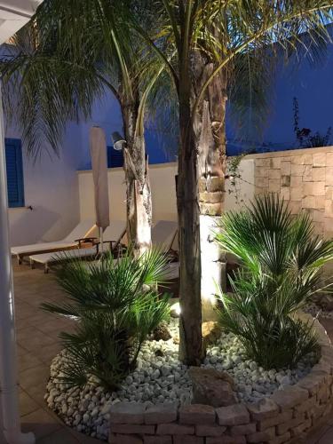 a garden with two palm trees and a stone wall at VILLA GIUSY in Sant'Isidoro