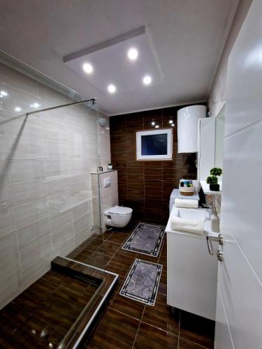 a bathroom with a shower and a toilet in it at Villa Eda in Bihać