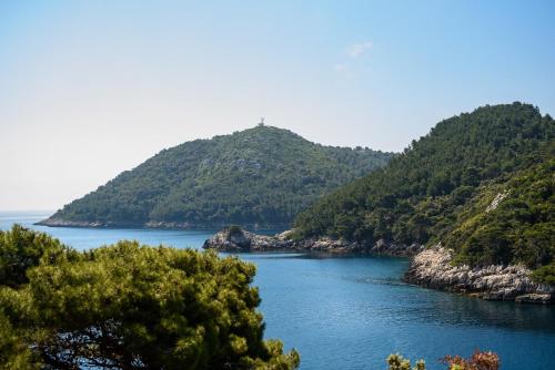 an island in the middle of a body of water at Apartments Stermasi in Saplunara