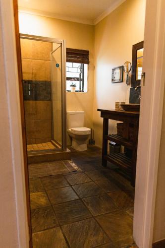 a bathroom with a shower and a toilet and a sink at Khashamongo B & B in Somerset West