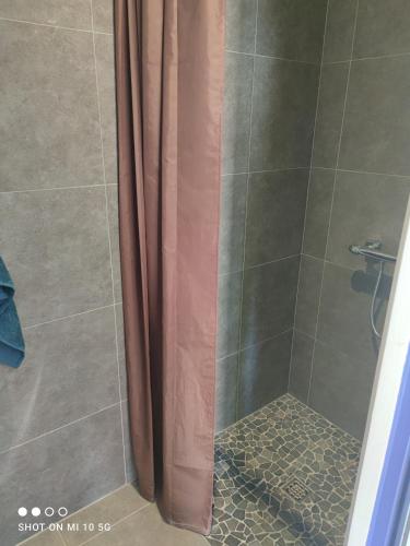 a shower with a glass door with a shower curtain at L'annexe du font Blanque in Campsas