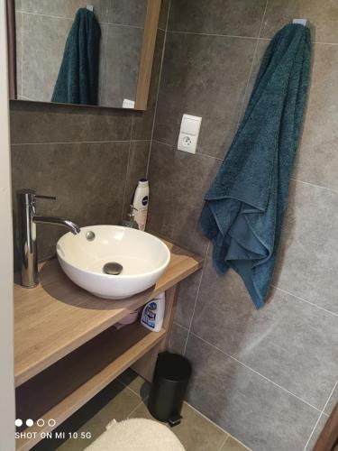 a bathroom with a sink and a mirror at L'annexe du font Blanque in Campsas