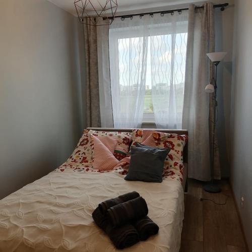 a bed with pillows and a window in a room at Niebieski - Mala Apartamenty in Rumia