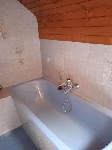 a bath tub with a faucet in a bathroom at Apartment Bee near Bled in Zabreznica