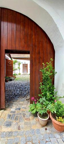 an entrance to a building with two potted plants at Penzion Merlin in Český Krumlov