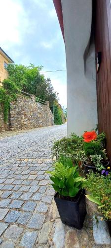 a brick street with plants and a building at Penzion Merlin in Český Krumlov