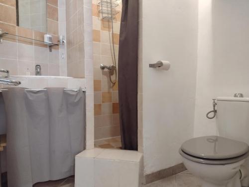 a bathroom with a toilet and a shower at Studio Genêt Verdon Provence in Riez