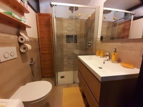 カンピテッロ・ディ・ファッサにあるSella Ronda Apartmentのバスルーム(トイレ、洗面台、シャワー付)