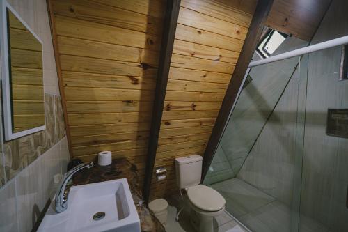 a small bathroom with a toilet and a shower at Cabanas do avencal in Urubici