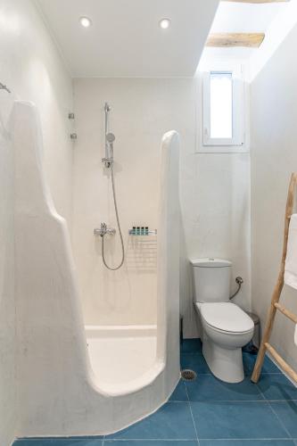 a bathroom with a shower and a toilet at Sea & Olives Suites Hotel and Villas in Plaka