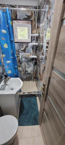 a bathroom with a toilet and a sink and a door at ANDI 2-apartament in Băile Herculane
