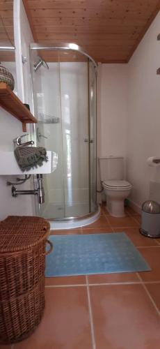 a bathroom with a shower and a blue rug at Casa Ribeira in Coentral das Barreiras