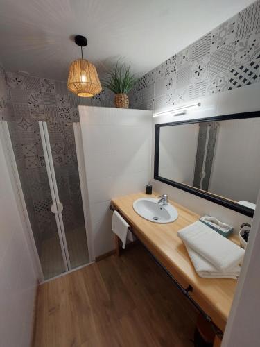 uma casa de banho com um lavatório, um espelho e um chuveiro em Les Petits Jardins de Cissé Chambre de Charme em Cissé