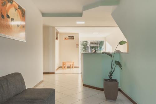 ein Wohnzimmer mit einem Sofa und einer Topfpflanze in der Unterkunft Hotel Girafa in Itatiaia