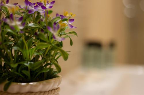 Foto sihtkohas Mantova asuva majutusasutuse Suite Corallo - Smart Holiday galeriist
