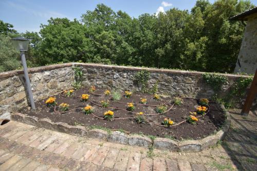 a garden with flowers in a stone wall at Falesta in Casole dʼElsa