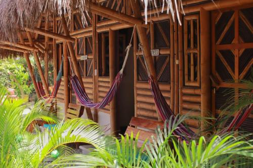 ein Resort mit Hängematten, die von einem Gebäude aus hängen in der Unterkunft Coco Sänkala Hostel in Palomino