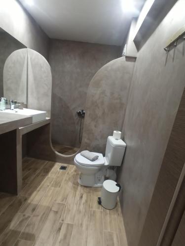 a bathroom with a toilet and a sink and a mirror at MELENIOS HOUSES in Samothráki