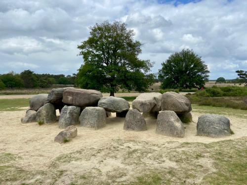 a pile of rocks sitting on top of a field at Het Grote Paard in Havelte
