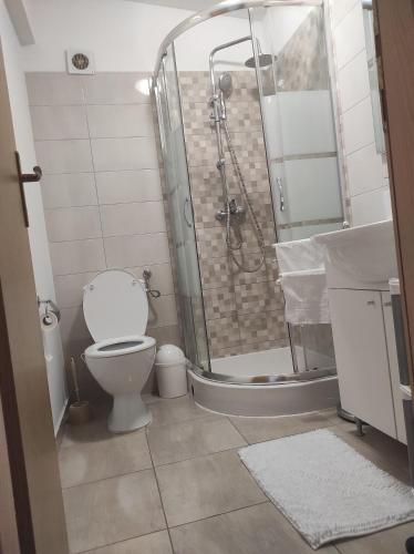 Koupelna v ubytování Apartmani Tereza
