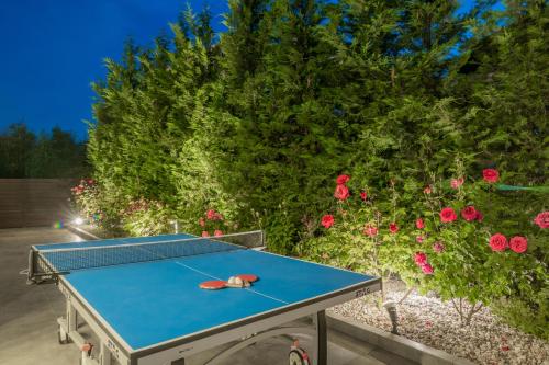 Πινγκ πονγκ στο Luxury Villa Vanato & Pool ή εκεί κοντά